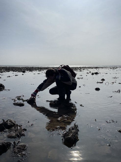 A silhouette of someone rockpooling. The sun is reflecting off the water around them.