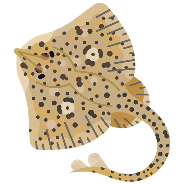 Ray Spotted M 960.png
