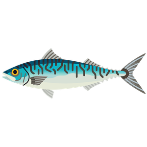 Mackerel