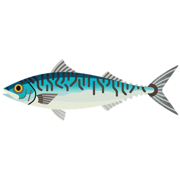 Mackerel M 960.png