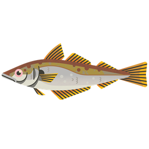 Whiting