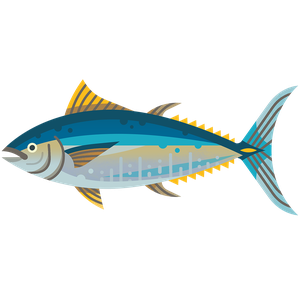 Southern bluefin tuna