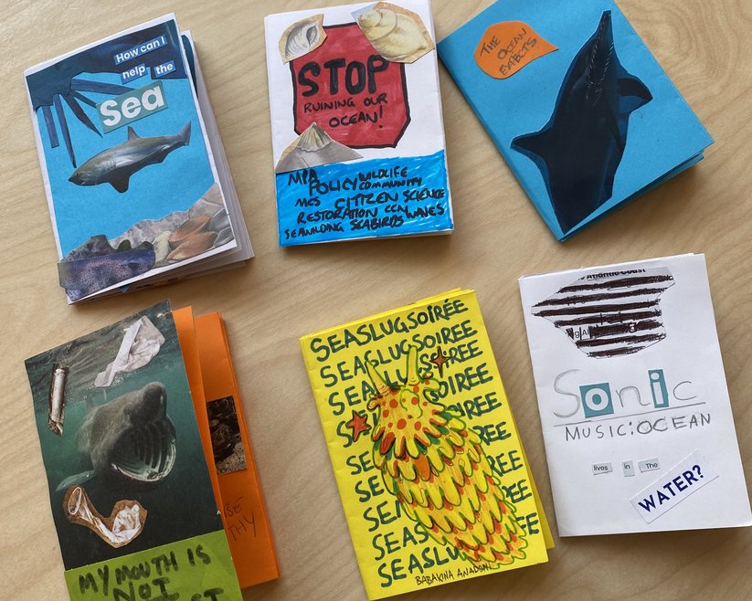 Six colourful zine front covers with different animals on them including a basking shark and a sea slug