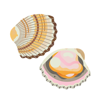 Cockle M 960.png