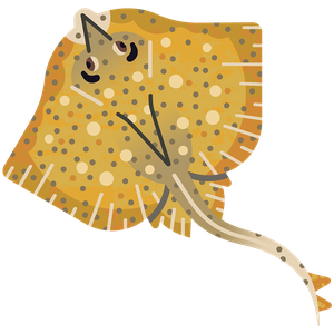 Blonde ray