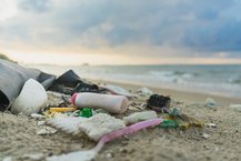Litter_on_a_beach_Shutterstock.original.jpg