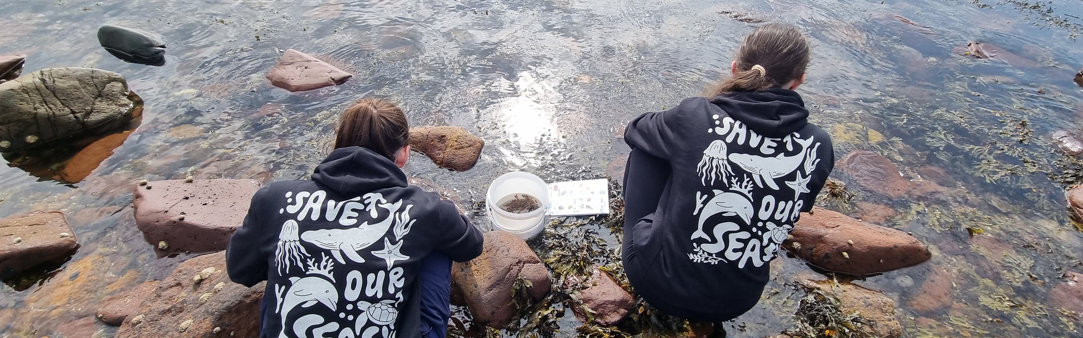 2 young adults with their backs to the camera. They are crouching over some seaweed covered rockpools. They are both wearing navy blue jumpers that read "save our seas". This text is surrounded by a white dolphin and jellyfish illustration.