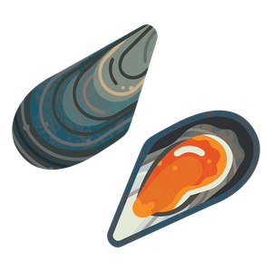 Blue mussel