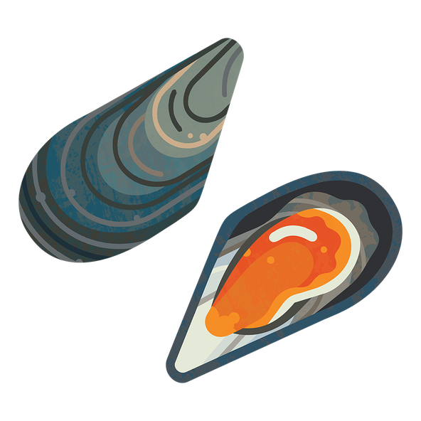 Mussel Common M 960.png