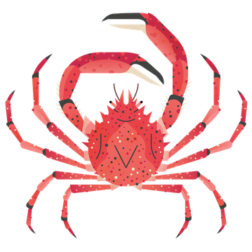 Crab Spider M 960.png