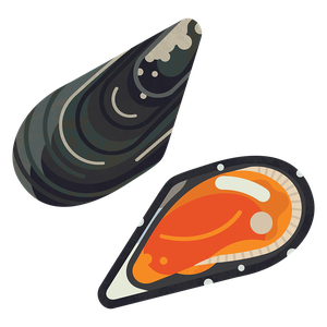 Chilean mussel