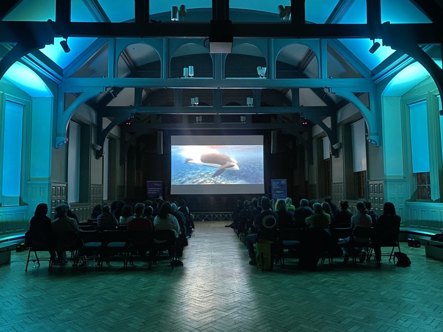 A hall in darkness with a number of people sitting on chairs facing a screen. On the screen is an orca.