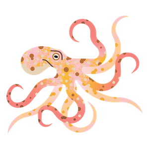 Common octopus