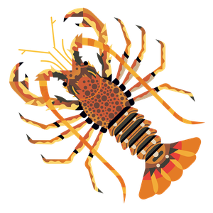 Crawfish