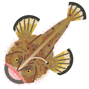 White monkfish