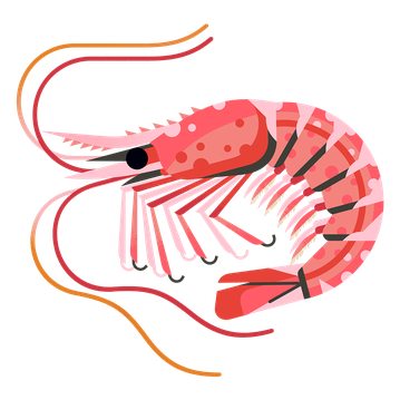 Prawn Northern M 960.png