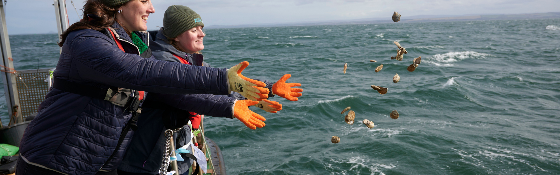 An action shot of two people wearing navy coats, grey beanies and orange gloves throwing European flat oysters into the ocean. They are standing on a boat to the left of the image. There are several oysters in midair to the right of the image.