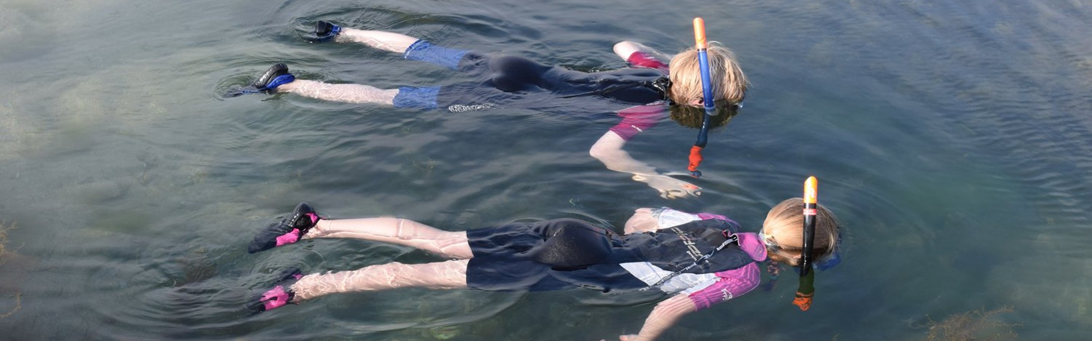 Children snorkeling in a rockpool