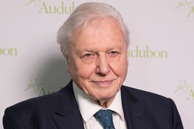 A close up of Sir David Attenborough, he is smiling against a plain background and wearing a suit at what looks like an awards event.