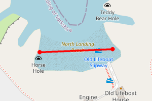 A map showing the Flamborough North Landing beach stretch plotted on it